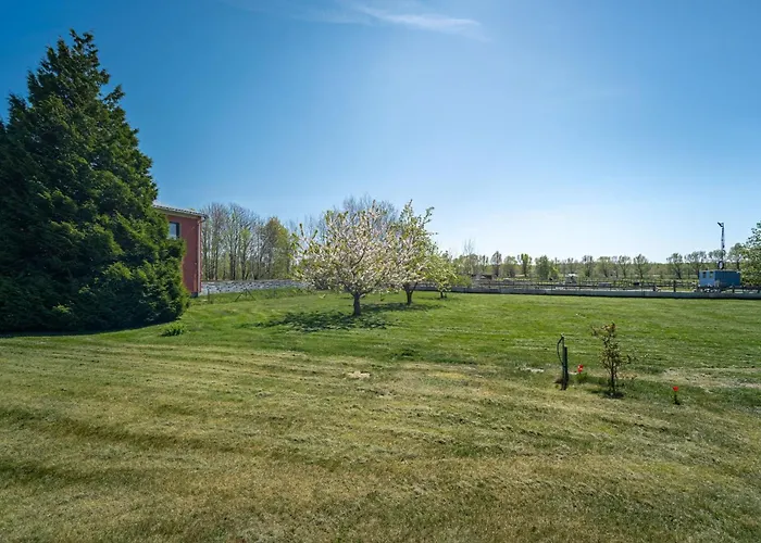 公寓 Tom's Hof Ferienwhg Alex 奥茨塞巴德·迪尔哈根